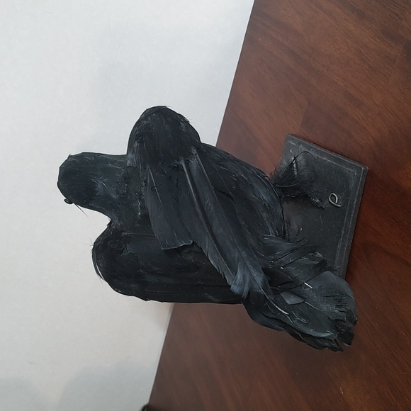 Black Raven Crow Sculpture Real Feathers Bird Halloween Decor Movie Set Prop - Picture 5 of 14